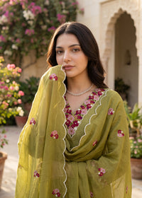 Mehendi Grace Kurta Set