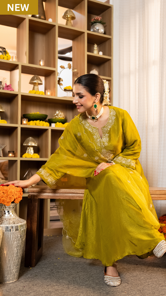 Zari Zest Shimmer Suit Set