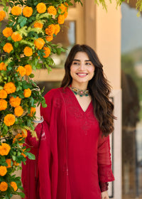 Crimson Red Embroidered Suit Set