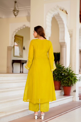 Golden Meadow Organza Suit Set