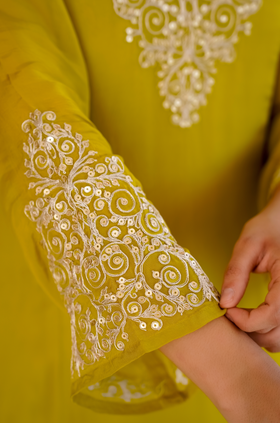 Golden Meadow Organza Suit Set